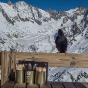 Choucas - Dsc02397