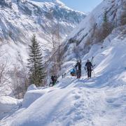 Les Mottets - Son01599