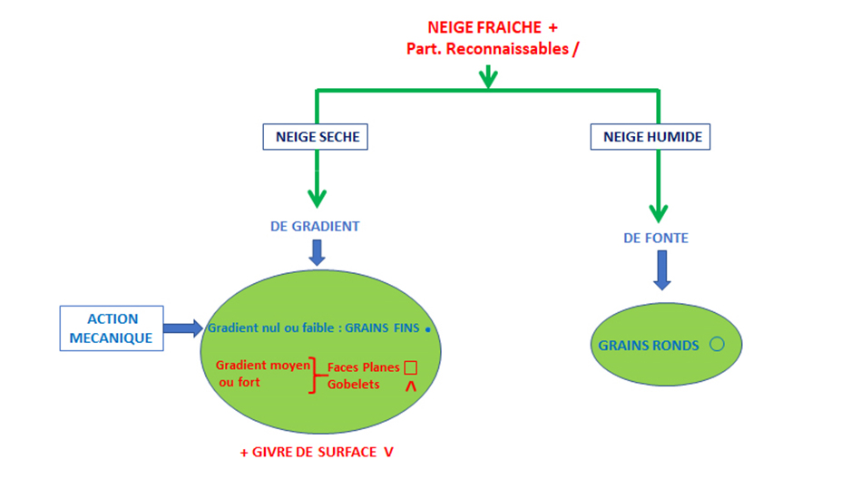 Sans titre 5